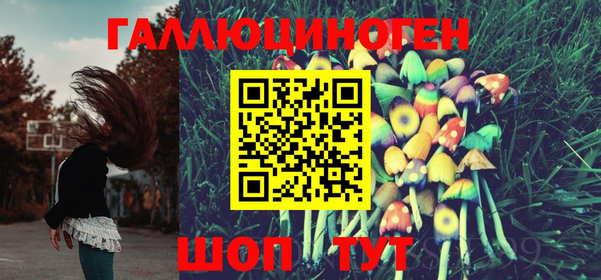 Псилоцибиновые грибы мицелий Бахчисарай