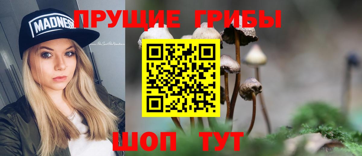 Галлюциногенные грибы Psilocybe  Вход с VPN  Бахчисарай 